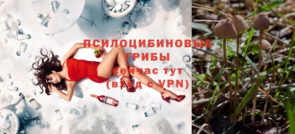 гидра Беломорск