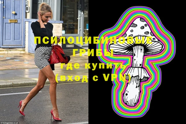 a pvp Белокуриха