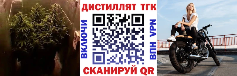 mega сайт  Богданович  Дистиллят ТГК Wax 