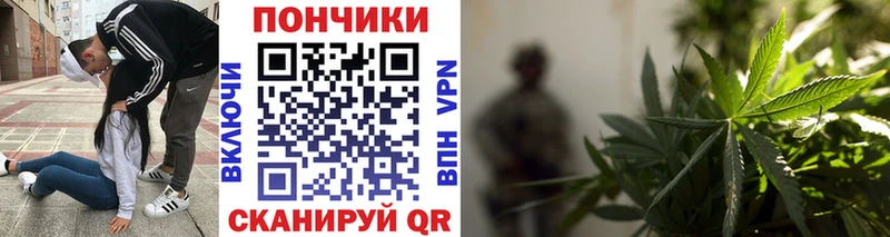 МАРИХУАНА планчик  Богданович 
